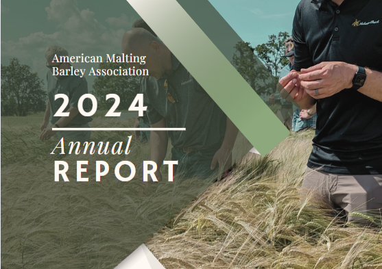 AMBA 2024 Annual Report